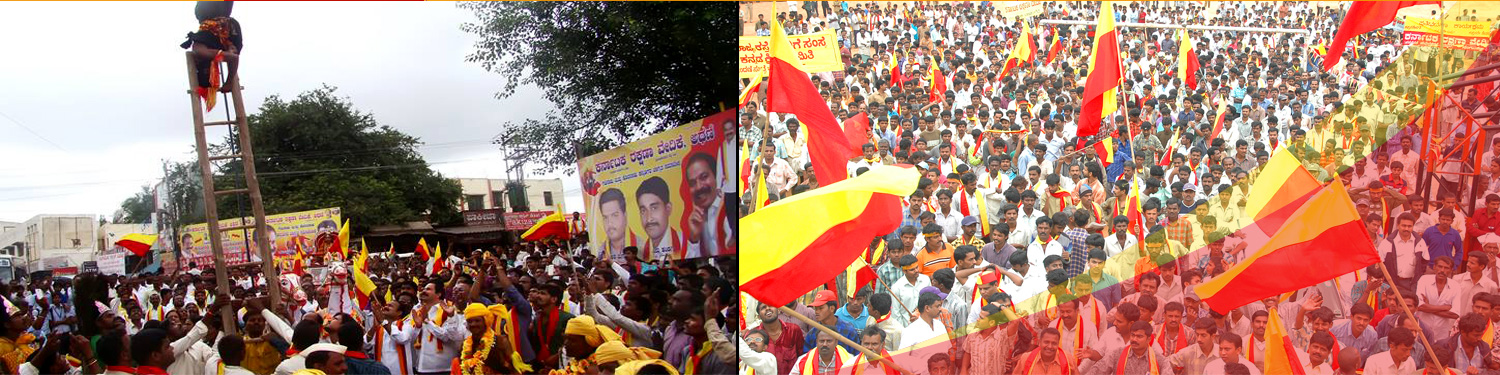 Karnataka Rakshana Vedike Logo