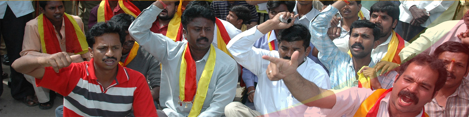 Karnataka Rakshana Vedike Logo